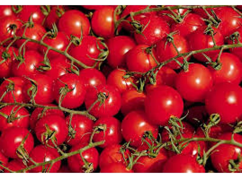 Семена томата красного черри Ламар F1 (1000 семян), Libra Seeds (Erste Zaden) Семена томата красного черри Ламар F1 (1000 семян), Libra Seeds (Erste Zaden)
